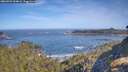 ./images/calvert/foggy-cove/20260504/foggy-cove20260504_094001M.jpg