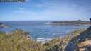 ./images/calvert/foggy-cove/20260504/foggy-cove20260504_094501M.jpg