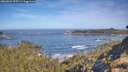 ./images/calvert/foggy-cove/20260504/foggy-cove20260504_095501M.jpg