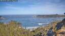 ./images/calvert/foggy-cove/20260504/foggy-cove20260504_100001M.jpg