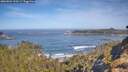 ./images/calvert/foggy-cove/20260504/foggy-cove20260504_100501M.jpg