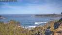 ./images/calvert/foggy-cove/20260504/foggy-cove20260504_101001M.jpg