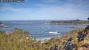 ./images/calvert/foggy-cove/20260504/foggy-cove20260504_101501M.jpg