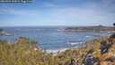 ./images/calvert/foggy-cove/20260504/foggy-cove20260504_102001M.jpg