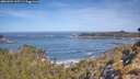 ./images/calvert/foggy-cove/20260504/foggy-cove20260504_102501M.jpg