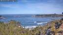 ./images/calvert/foggy-cove/20260504/foggy-cove20260504_103001M.jpg
