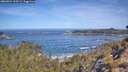 ./images/calvert/foggy-cove/20260504/foggy-cove20260504_103501M.jpg