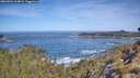 ./images/calvert/foggy-cove/20260504/foggy-cove20260504_104001M.jpg