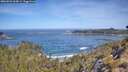 ./images/calvert/foggy-cove/20260504/foggy-cove20260504_104501M.jpg