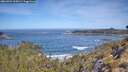 ./images/calvert/foggy-cove/20260504/foggy-cove20260504_105001M.jpg
