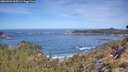 ./images/calvert/foggy-cove/20260504/foggy-cove20260504_105501M.jpg