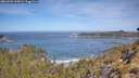 ./images/calvert/foggy-cove/20260504/foggy-cove20260504_110002M.jpg