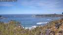 ./images/calvert/foggy-cove/20260504/foggy-cove20260504_110501M.jpg