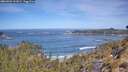 ./images/calvert/foggy-cove/20260504/foggy-cove20260504_111001M.jpg