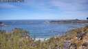 ./images/calvert/foggy-cove/20260504/foggy-cove20260504_111501M.jpg