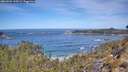 ./images/calvert/foggy-cove/20260504/foggy-cove20260504_112002M.jpg