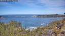 ./images/calvert/foggy-cove/20260504/foggy-cove20260504_112501M.jpg