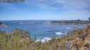 ./images/calvert/foggy-cove/20260504/foggy-cove20260504_113002M.jpg