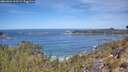 ./images/calvert/foggy-cove/20260504/foggy-cove20260504_113501M.jpg