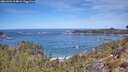 ./images/calvert/foggy-cove/20260504/foggy-cove20260504_114002M.jpg