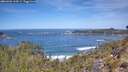 ./images/calvert/foggy-cove/20260504/foggy-cove20260504_114501M.jpg