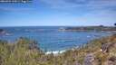 ./images/calvert/foggy-cove/20260504/foggy-cove20260504_115001M.jpg
