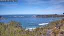 ./images/calvert/foggy-cove/20260504/foggy-cove20260504_115501M.jpg