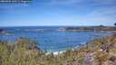 ./images/calvert/foggy-cove/20260504/foggy-cove20260504_120501M.jpg