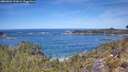 ./images/calvert/foggy-cove/20260504/foggy-cove20260504_121001M.jpg