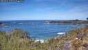 ./images/calvert/foggy-cove/20260504/foggy-cove20260504_121501M.jpg