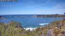 ./images/calvert/foggy-cove/20260504/foggy-cove20260504_122002M.jpg