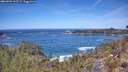 ./images/calvert/foggy-cove/20260504/foggy-cove20260504_122501M.jpg