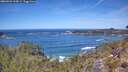 ./images/calvert/foggy-cove/20260504/foggy-cove20260504_123001M.jpg