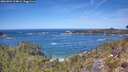 ./images/calvert/foggy-cove/20260504/foggy-cove20260504_124001M.jpg