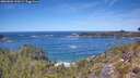 ./images/calvert/foggy-cove/20260504/foggy-cove20260504_124502M.jpg