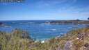 ./images/calvert/foggy-cove/20260504/foggy-cove20260504_125001M.jpg