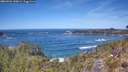 ./images/calvert/foggy-cove/20260504/foggy-cove20260504_130001M.jpg