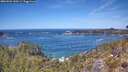 ./images/calvert/foggy-cove/20260504/foggy-cove20260504_130501M.jpg
