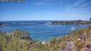./images/calvert/foggy-cove/20260504/foggy-cove20260504_131002M.jpg