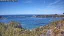 ./images/calvert/foggy-cove/20260504/foggy-cove20260504_131501M.jpg