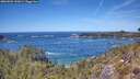 ./images/calvert/foggy-cove/20260504/foggy-cove20260504_132002M.jpg