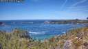 ./images/calvert/foggy-cove/20260504/foggy-cove20260504_132501M.jpg