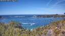 ./images/calvert/foggy-cove/20260504/foggy-cove20260504_133001M.jpg