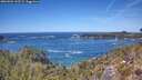 ./images/calvert/foggy-cove/20260504/foggy-cove20260504_133501M.jpg