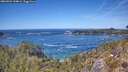 ./images/calvert/foggy-cove/20260504/foggy-cove20260504_134001M.jpg