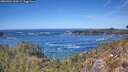 ./images/calvert/foggy-cove/20260504/foggy-cove20260504_134502M.jpg