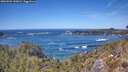 ./images/calvert/foggy-cove/20260504/foggy-cove20260504_135001M.jpg