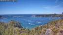 ./images/calvert/foggy-cove/20260504/foggy-cove20260504_135501M.jpg