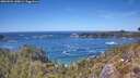 ./images/calvert/foggy-cove/20260504/foggy-cove20260504_140001M.jpg