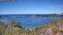 ./images/calvert/foggy-cove/20260504/foggy-cove20260504_141001M.jpg